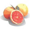 Grapefruit