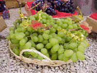 Grapes