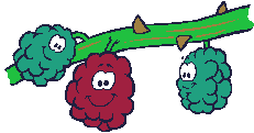 Grapes food and drinks