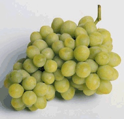 Grapes food and drinks