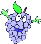 Grapes food and drinks