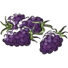 Grapes food and drinks