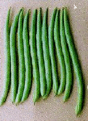 Green beans