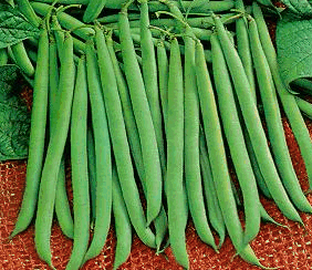 Green beans