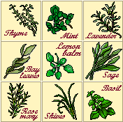 Herbs