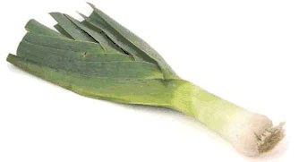 Leek