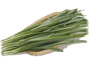 Leek