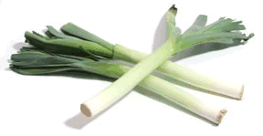 Leek