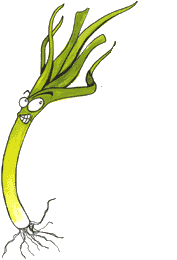 Leek food and drinks