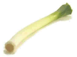 Leek