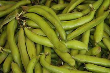 Legumes