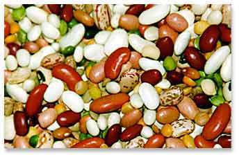 Legumes