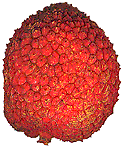 Lychee food and drinks