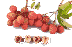 Lychee