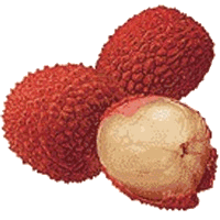 Lychee