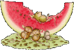 Melon food and drinks