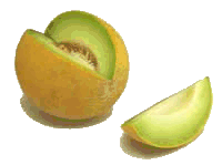 Melon