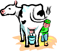 Milk food and drinks