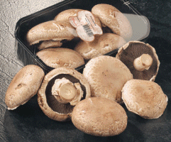 Mushrooms food and drinks