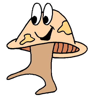 Mushrooms food and drinks