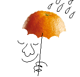 Oranges food and drinks
