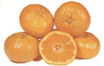 Oranges