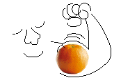 Oranges food and drinks