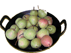 Pears