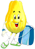 Pears food and drinks