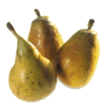 Pears