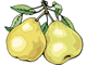 Pears