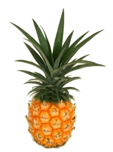 Pineapple