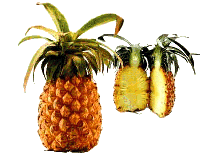 Pineapple