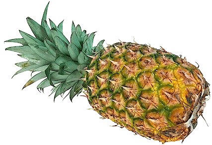 Pineapple