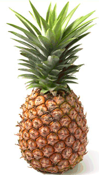 Pineapple