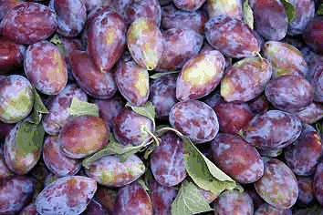 Plums