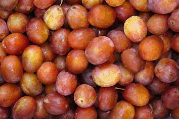 Plums