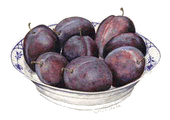 Plums