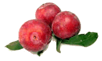 Plums