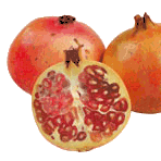 Pomegranate