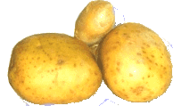 Potatoes