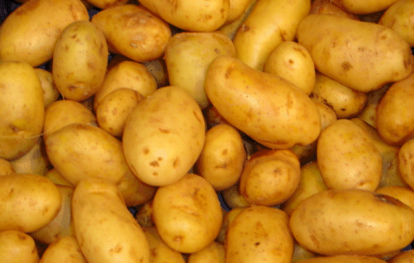 Potatoes