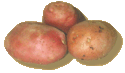 Potatoes