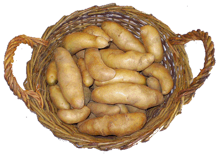 Potatoes