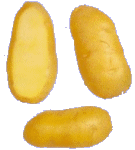 Potatoes