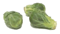 Sprouts