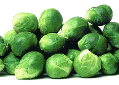 Sprouts