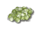 Sprouts