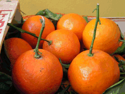 Tangerine food and drinks