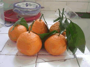 Tangerine food and drinks